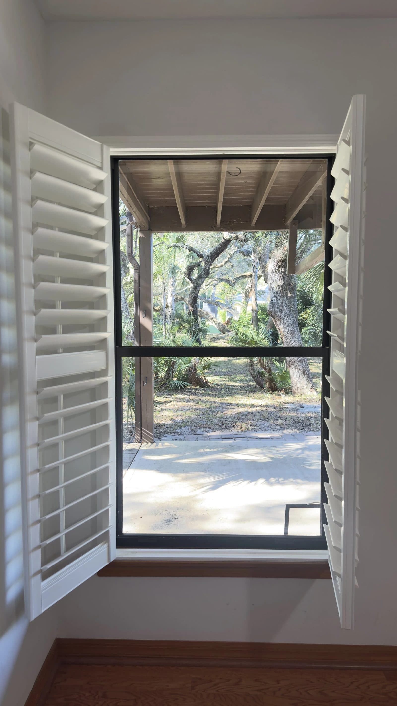Streak-Free Window Cleaning