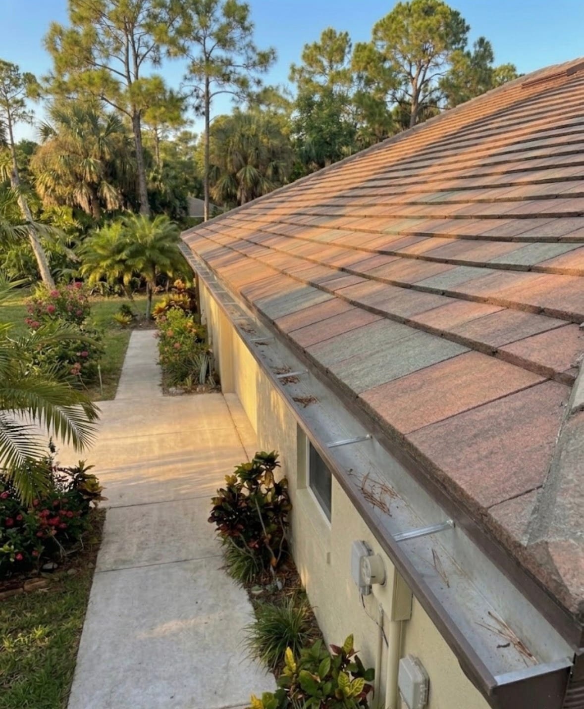 Cleaned Roof Gutter