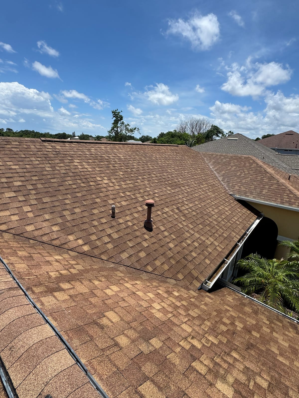 Clean Shingle Roof