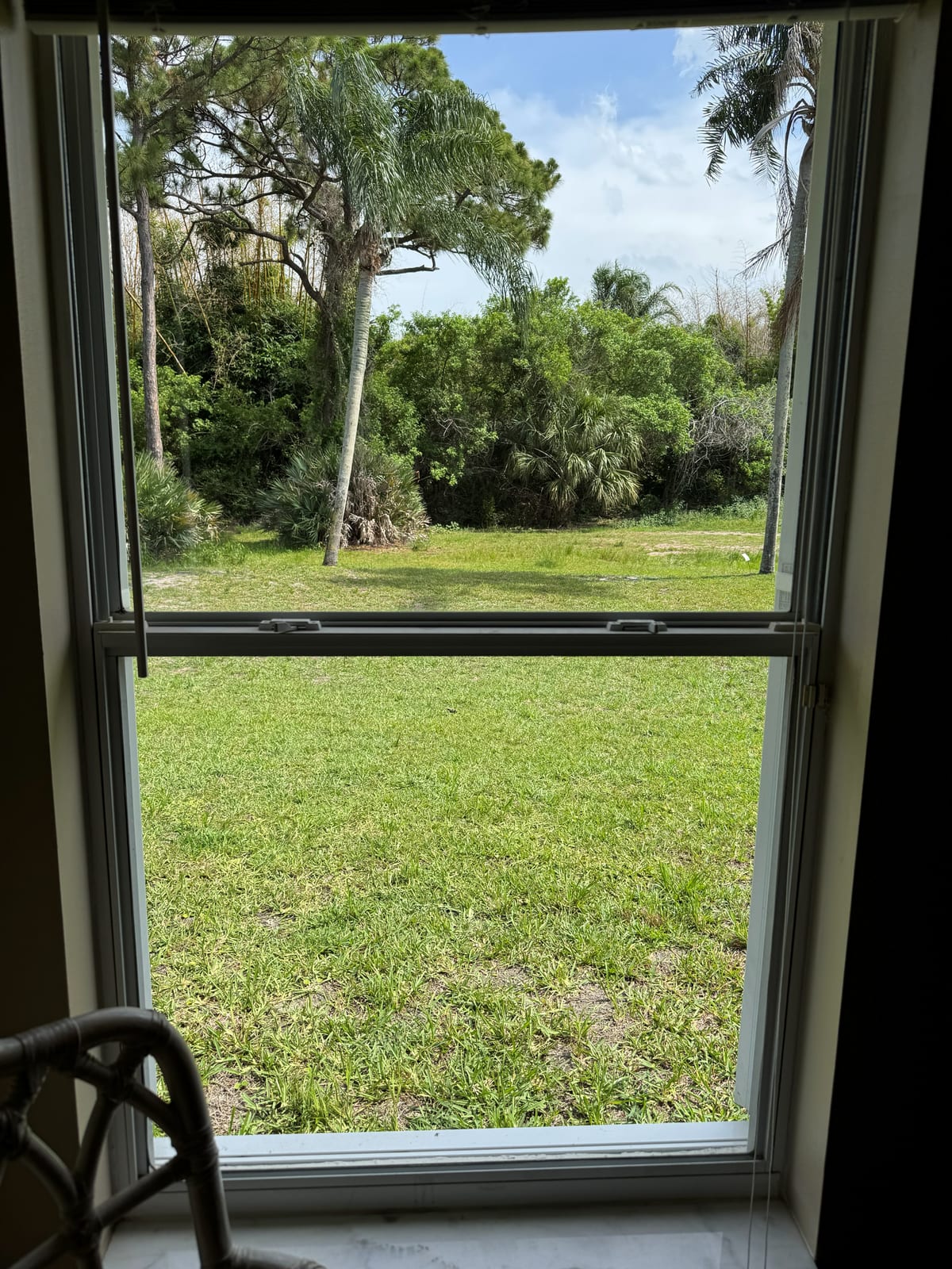Spotless Picture Window
